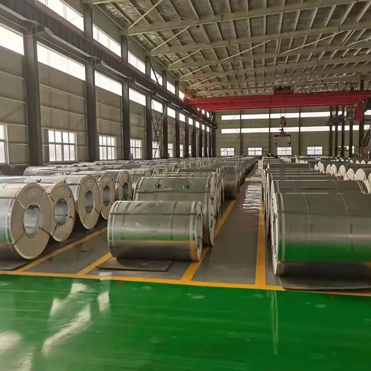 DC01  Galvanized coil